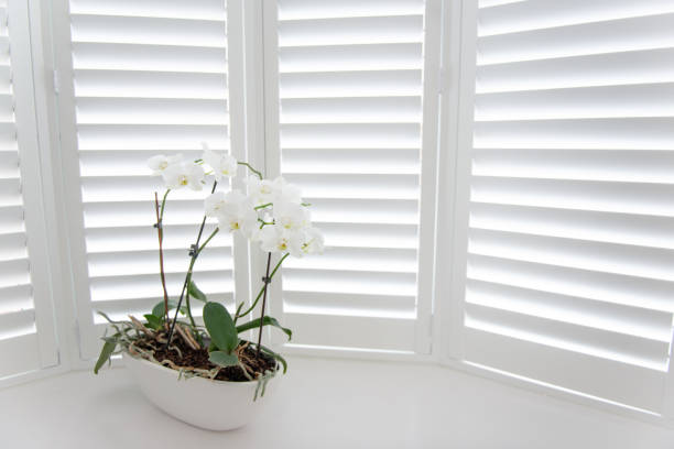 PVC Plantation Shutter - Window 1
