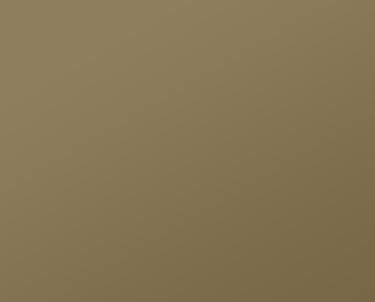 Light Bronze Light Bronze