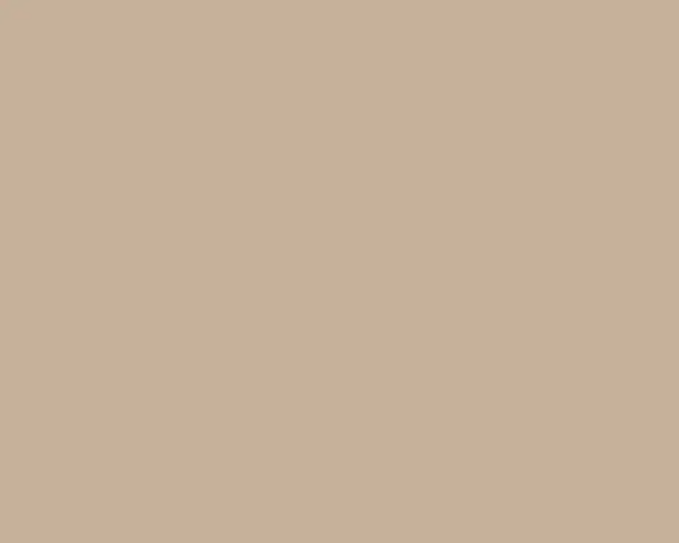 PaperBark PaperBark
