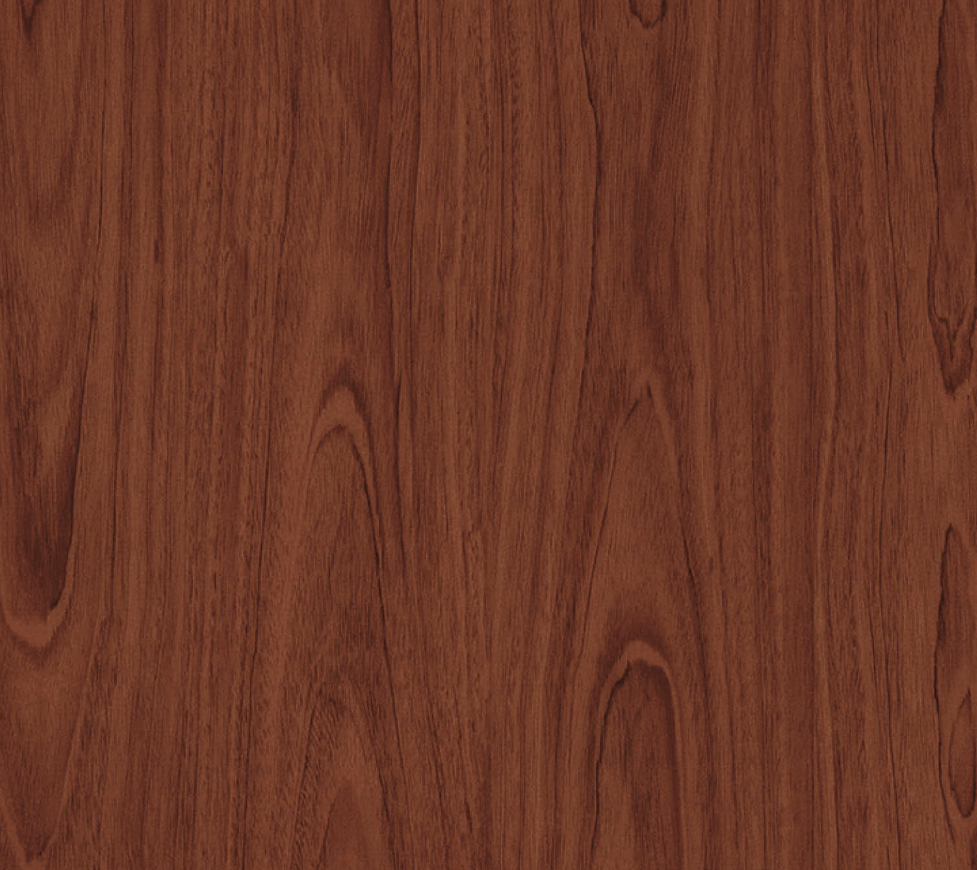 Blackbutt Blackbutt