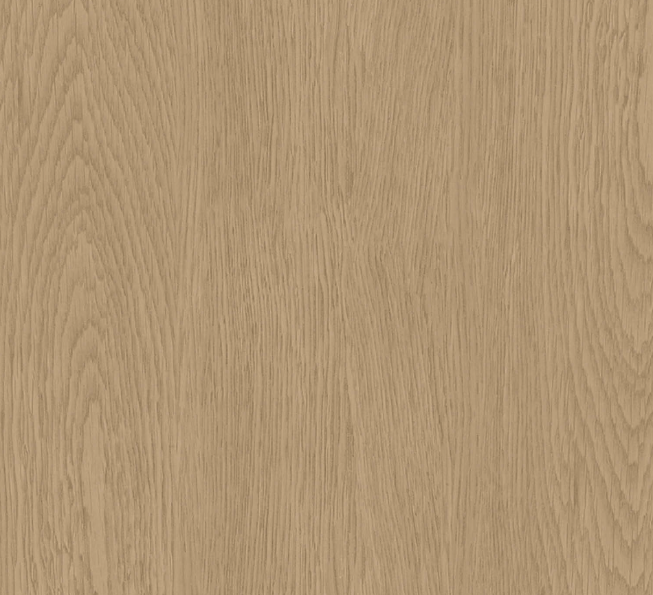 Spruce Colour Spruce